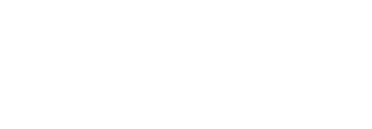 White Web Logo